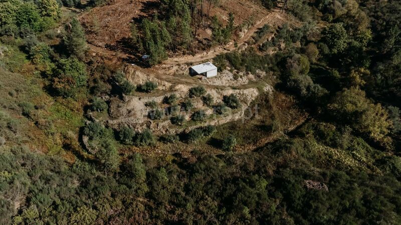 Small farm 1 bedrooms Enxabarda Castelejo Fundão - well, fruit trees, shed