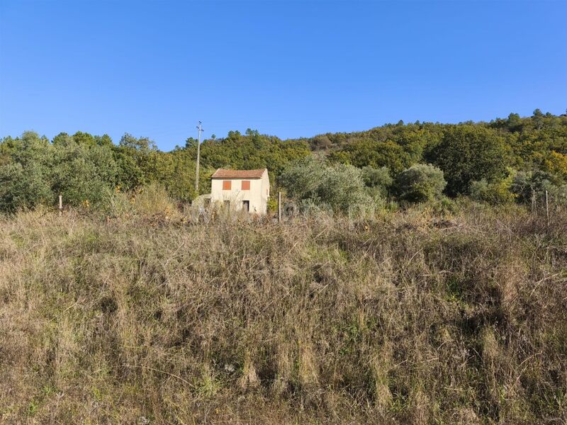 Small farm V0 Belmonte - water, fruit trees, tank, good access, well, olive trees, electricity, water hole