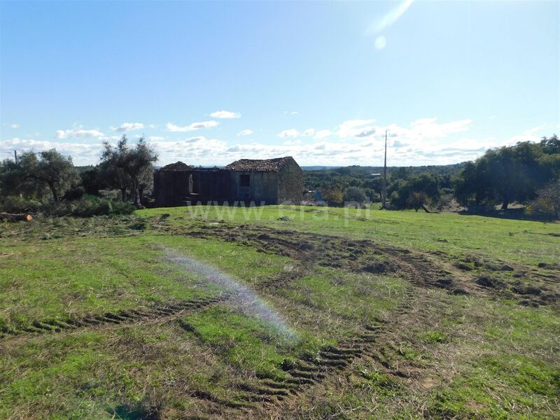 Quinta/Herdade Vale Prazeres Fundão