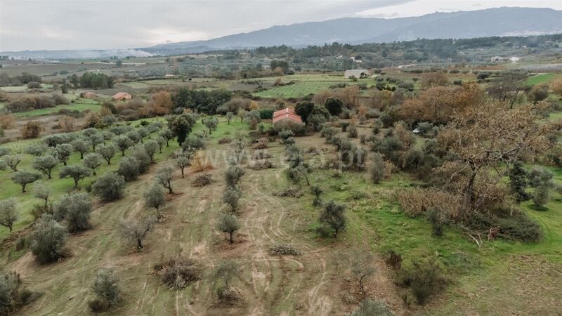 Quinta V1 Alpedrinha Fundão - árvores de fruto, cultura arvense, água, poço