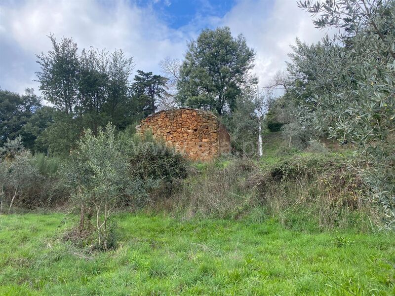 Land Rustic with 1500sqm Castelejo Fundão - fruit trees, arable crop, well, water, olive trees