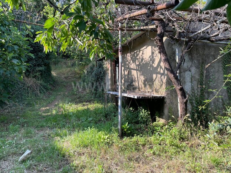 Small farm Fundão - excellent access, fruit trees, water, well