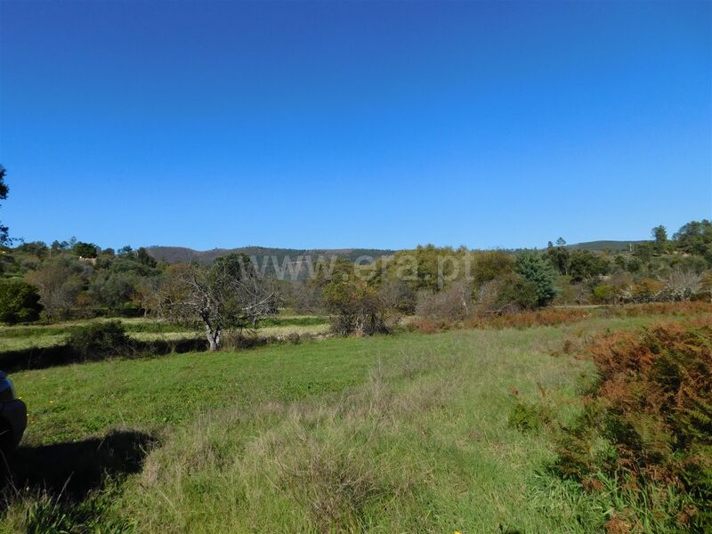 Farm 0 bedrooms Vale Prazeres Fundão - water, good access, fruit trees, electricity