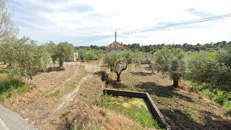 Quintinha Vale Prazeres Fundão - poço, árvores de fruto, água da rede, oliveiras, sobreiros, electricidade