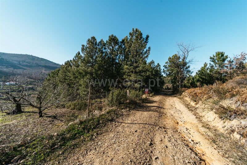 Terreno Agrícola com 24000m2 Alcaide Fundão - bom acesso, água de furo