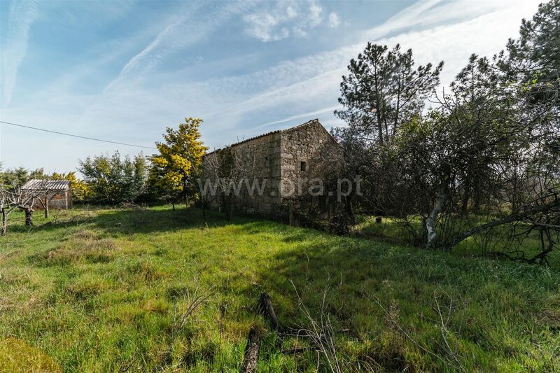 Small farm 1 bedrooms Póvoa da Atalaia Fundão - fruit trees, water, well