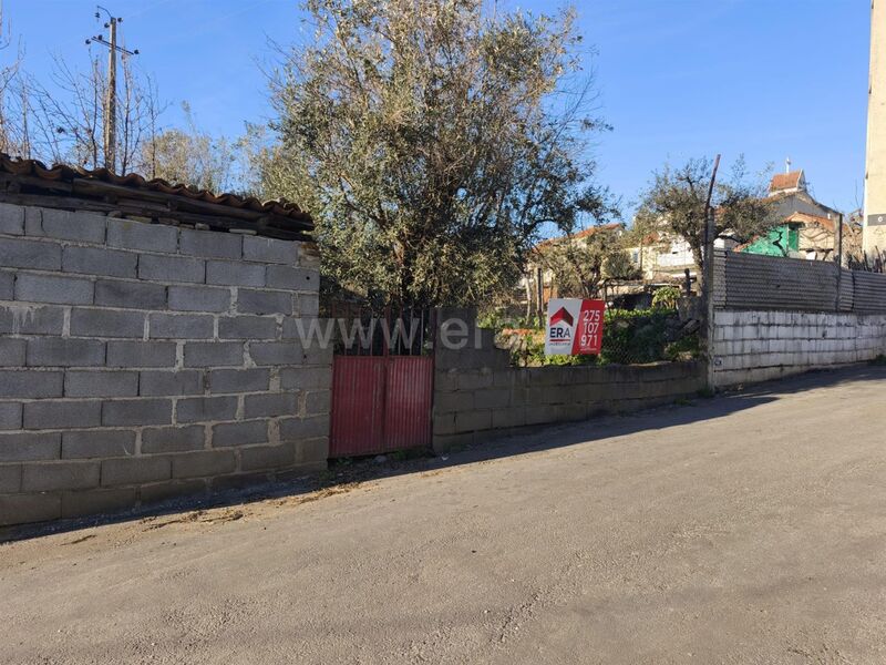 Land Agricultural with 130sqm Covilhã - shed, olive trees