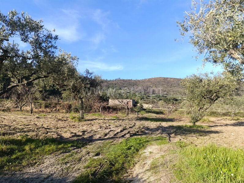 Land Agricultural with 7580sqm Monte Leal Fundão - orange trees, water, well, fruit trees, peach trees