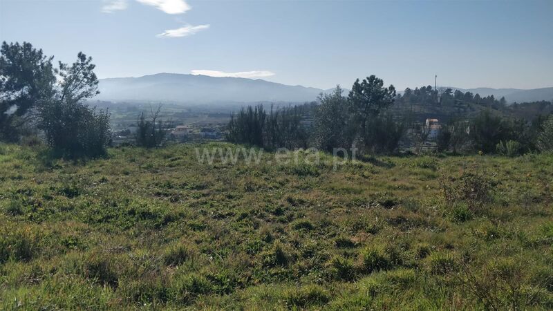 Land with 120000sqm Alcaria Fundão - ,