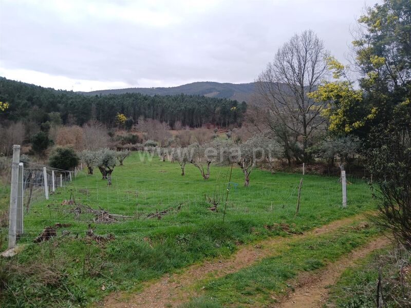 Land with 10000sqm Castelejo Fundão - shed, well, water