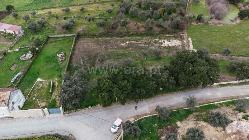 Land with 2302sqm Orca Fundão - easy access, great location, olive trees