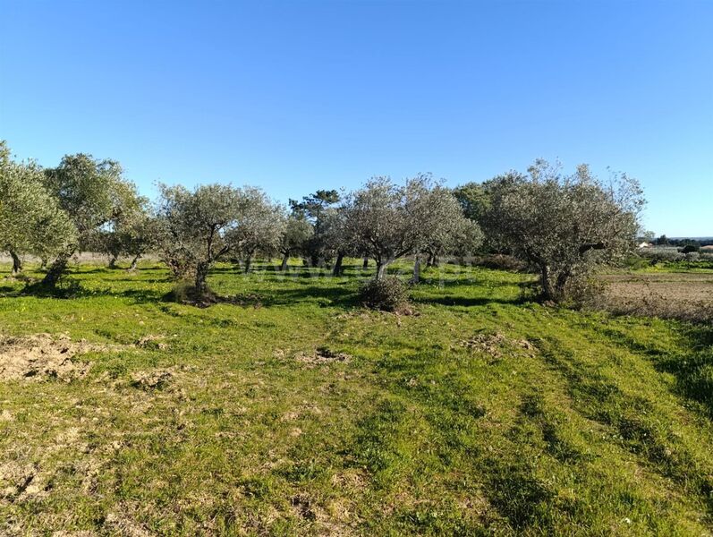 Land Agricultural with 12800sqm Catrão Fundão - water