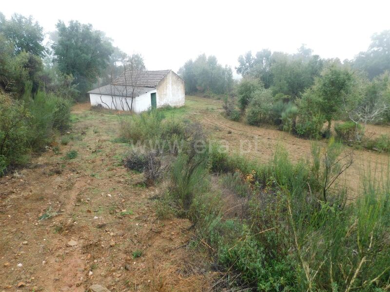 Terreno Agrícola com 50000m2 Vales Pêro Viseu Fundão - água