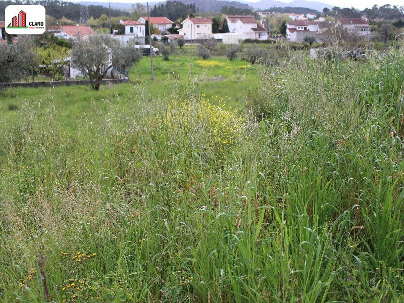 Land with 4043sqm Cernache Coimbra - construction viability