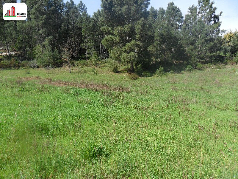 Land with 2400sqm Coimbra