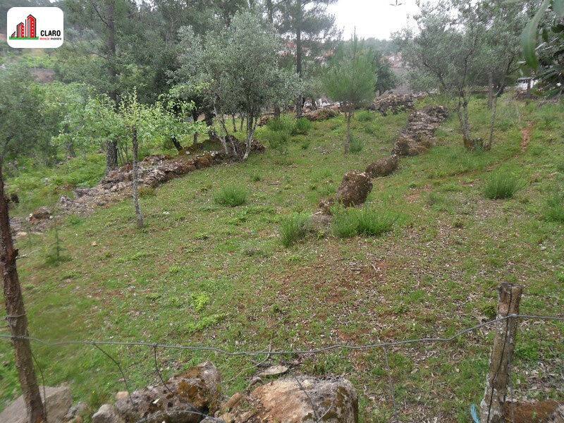 Terreno com 10000m2 Coimbra - viabilidade de construção