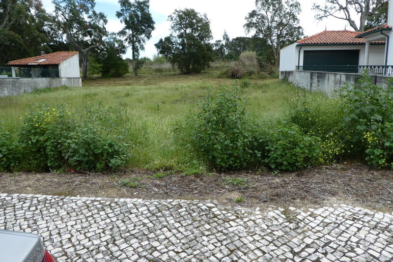 Land for construction Condeixa-a-Nova