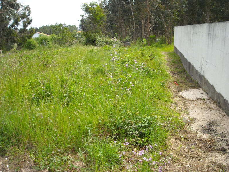 Terreno com 384m2 Lavos Figueira da Foz