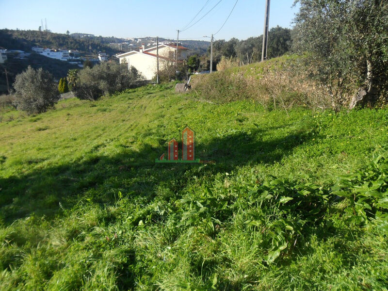 Plot new with 2775sqm Coimbra