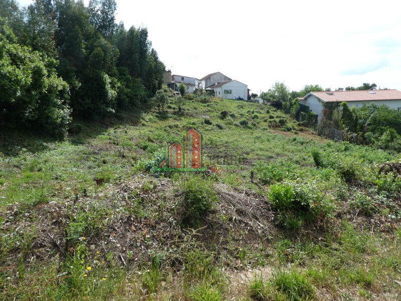 Land with 2800sqm Coimbra - construction viability