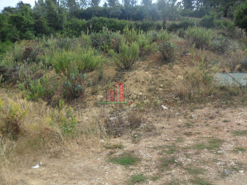 Land with 650sqm Coimbra - construction viability