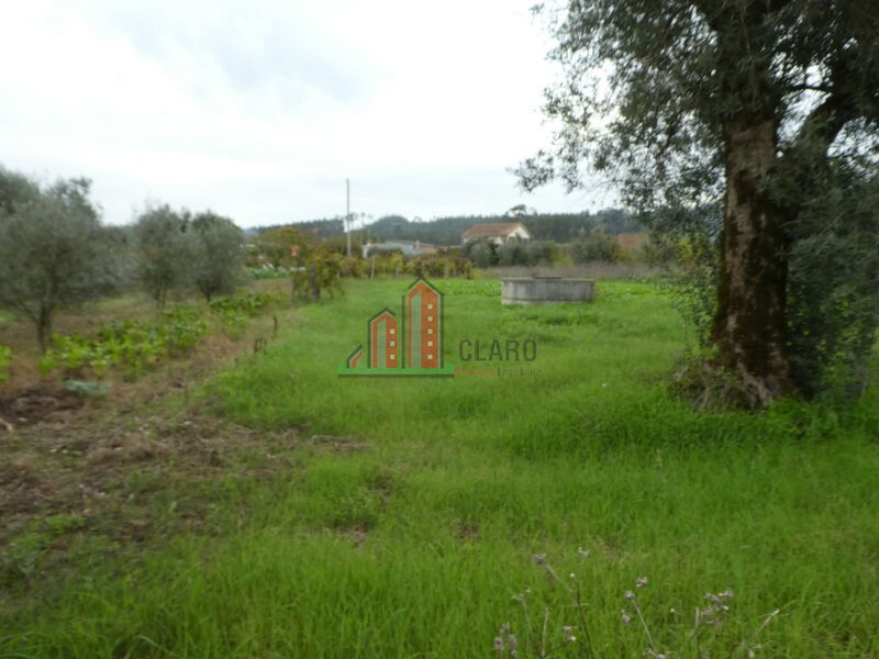 Land with 2000sqm Soure - well