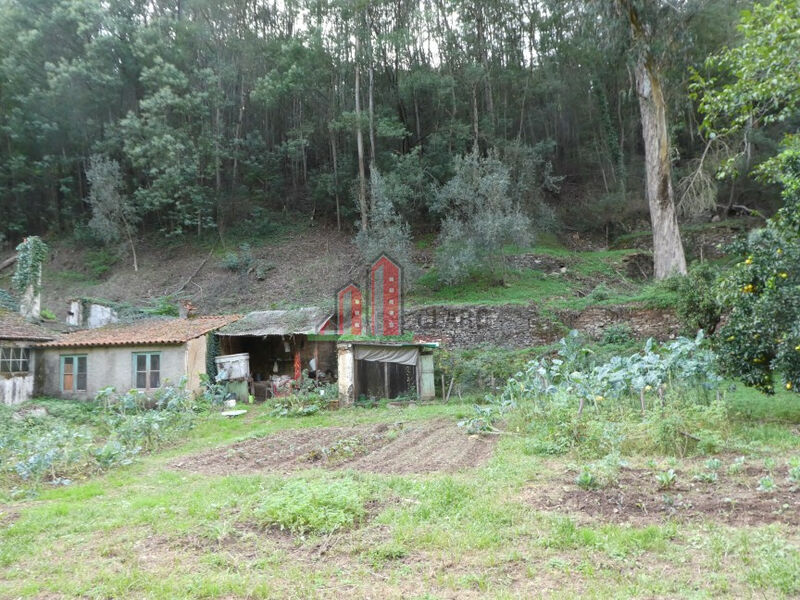 Farm Torres do Mondego Coimbra