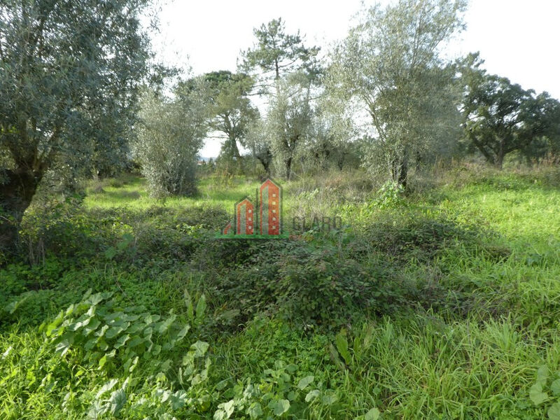 Land with 940sqm Coimbra