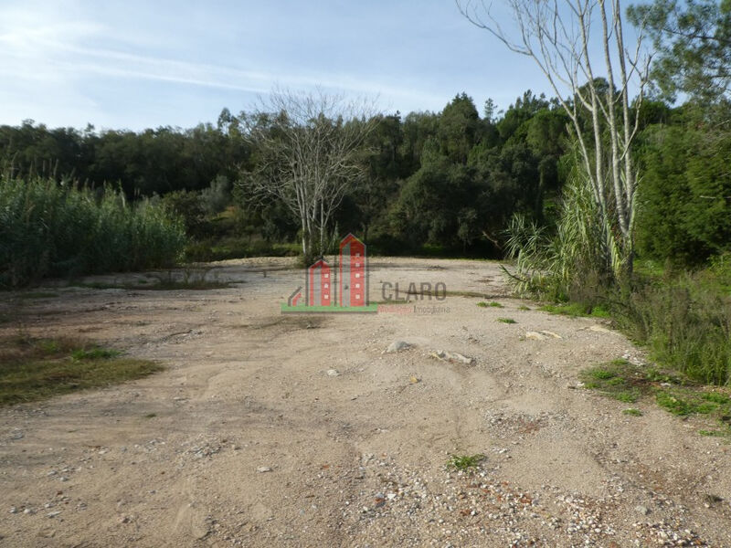 Terreno com 3000m2 Coimbra