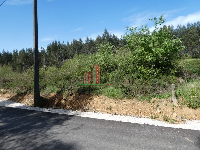 Land with 7638sqm Cumeeira Penela