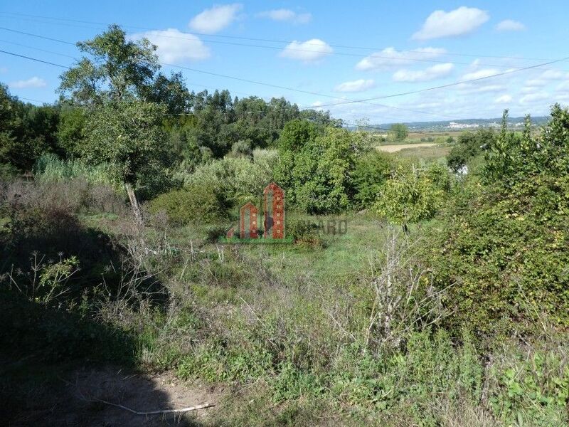 Terreno Urbano para construção Ceira Coimbra - viabilidade de construção