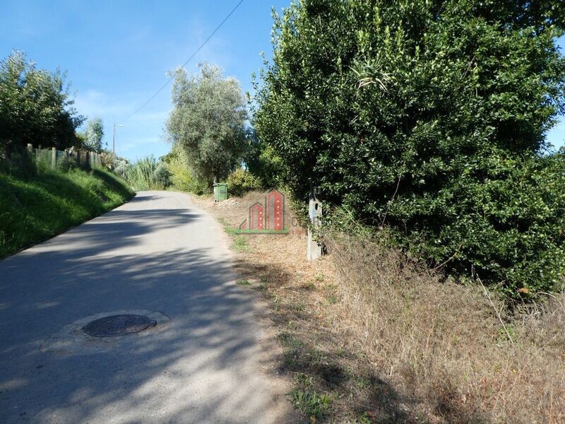 Land Rustic for construction Cernache Coimbra - electricity, water