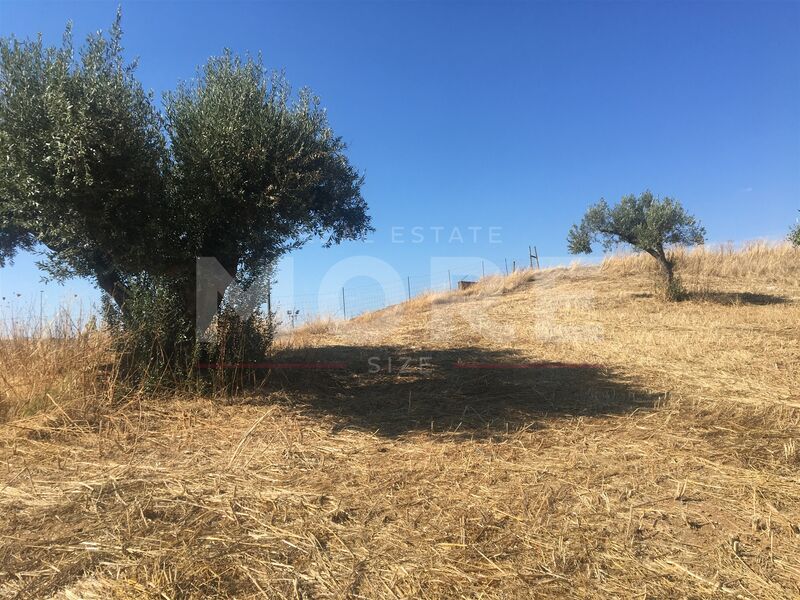 Land Rustic with 3750sqm Alqueva Portel - easy access