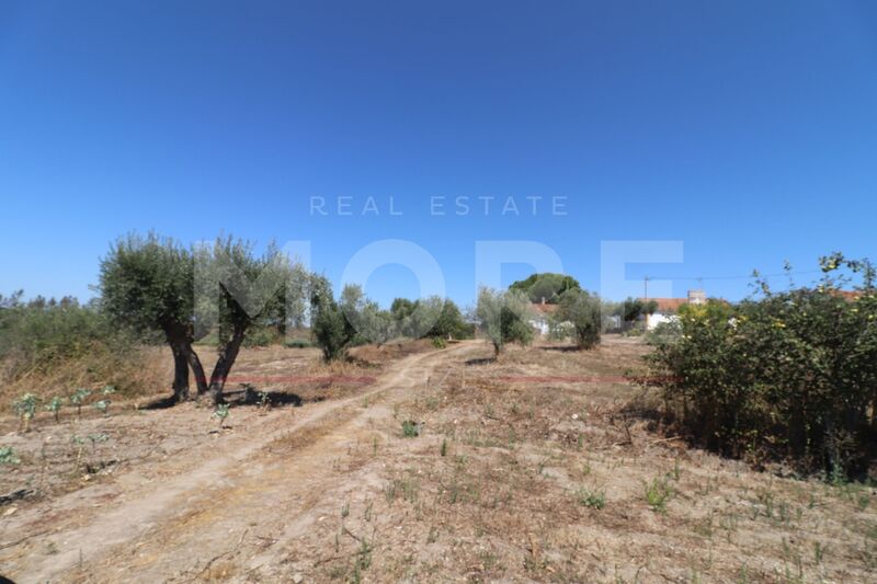 Small farm with house 2 bedrooms Ciborro Montemor-o-Novo - water, fruit trees, olive trees