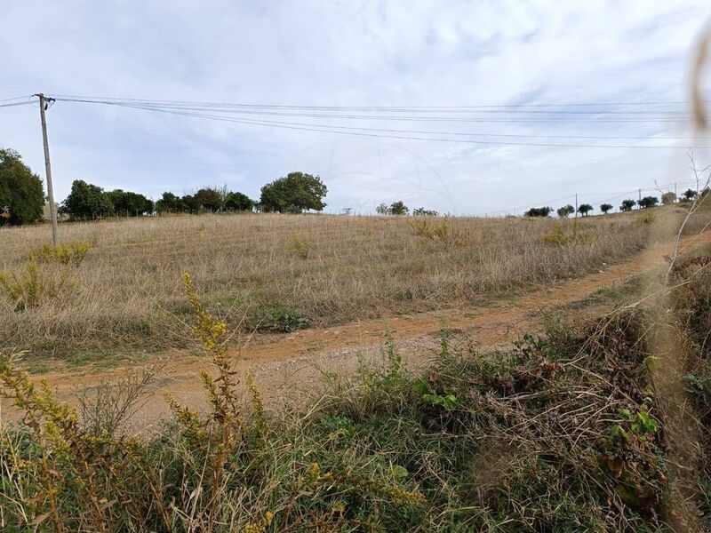 Plot of land flat Estremoz - construction viability