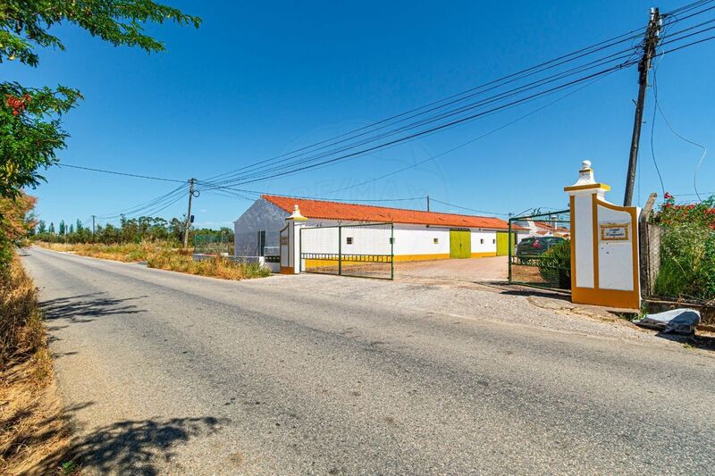 Small farm 7 bedrooms Redondo - swimming pool, electricity, water, tank, garage, well