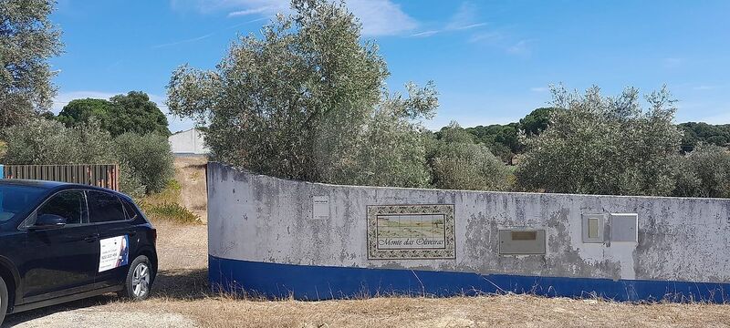 Terreno com 5000m2 Cabeção Mora - luz, poço, árvores de fruto, oliveiras