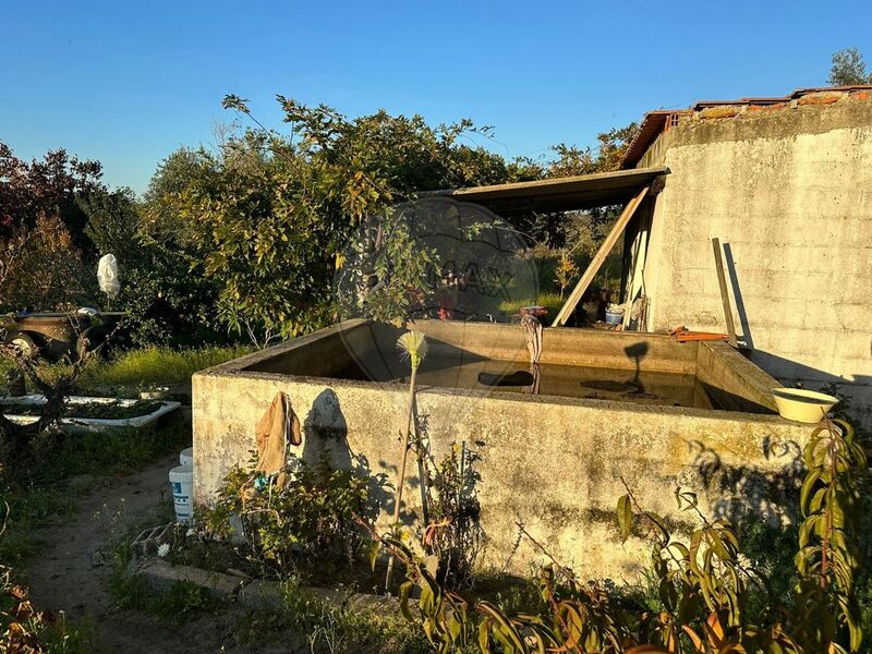 Land Agricultural with 7500sqm Cabeção Mora - water, well, tank