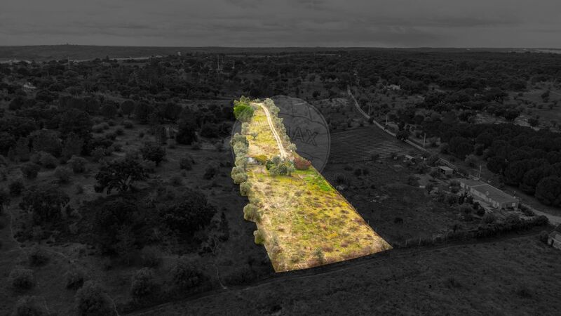 Terreno Agrícola com 7500m2 Cabeção Mora - água, poço, tanque