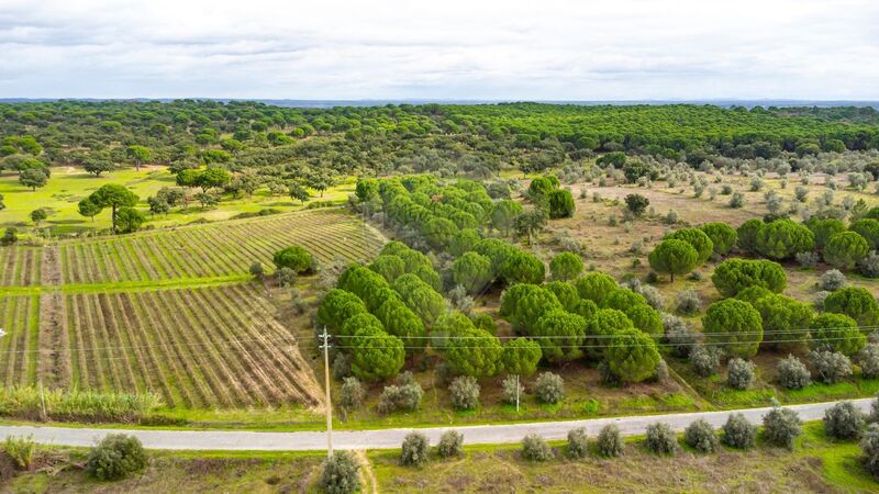 Plot of land Agricultural with 20000sqm Cabeção Mora - water, well