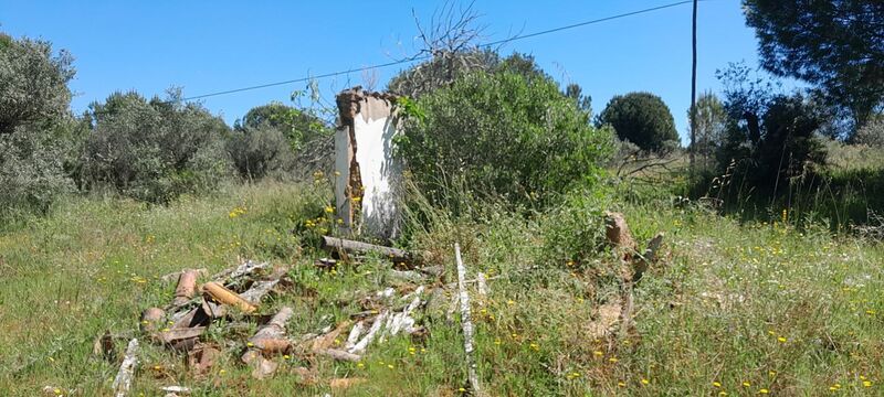 Plot of land Agricultural with 20000sqm Cabeção Mora - water, well