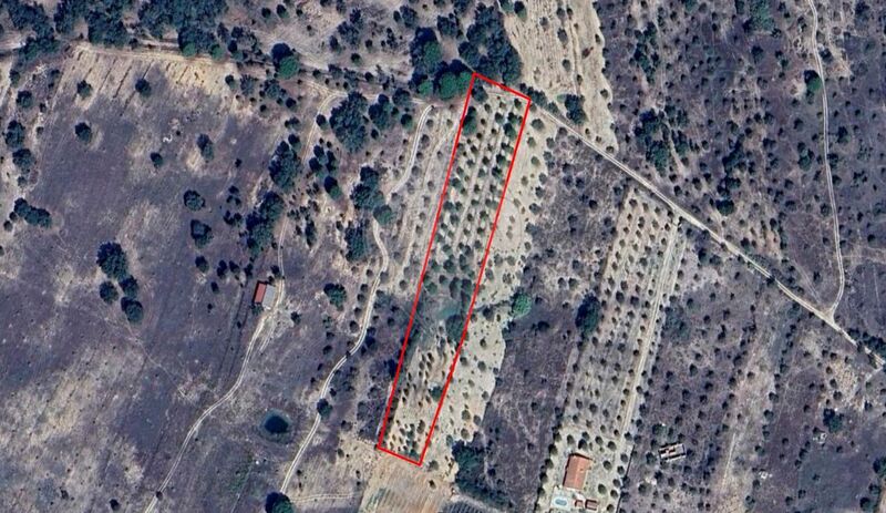 Land Rustic with 6500sqm Cabeção Mora - well, tank, easy access