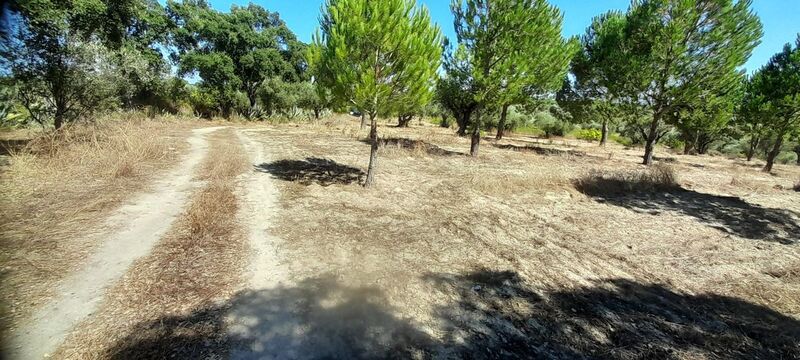 Land Rustic with 6500sqm Cabeção Mora - well, tank, easy access