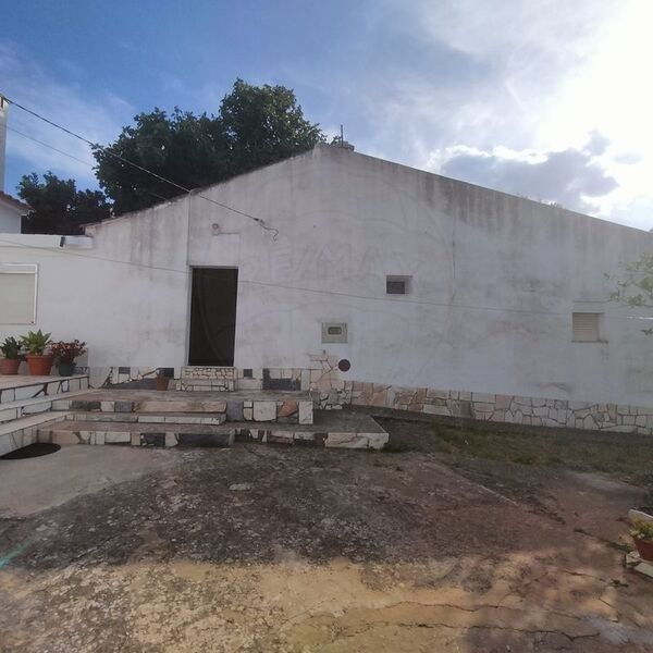 House 2 bedrooms Old Glória Estremoz - backyard