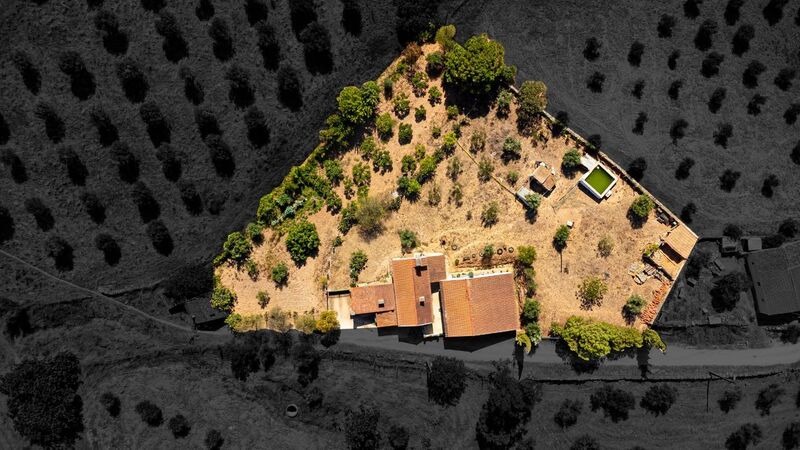 Farm 3 bedrooms Santiago Maior Alandroal - swimming pool, olive trees, garage, fruit trees, store room, orange trees, water hole