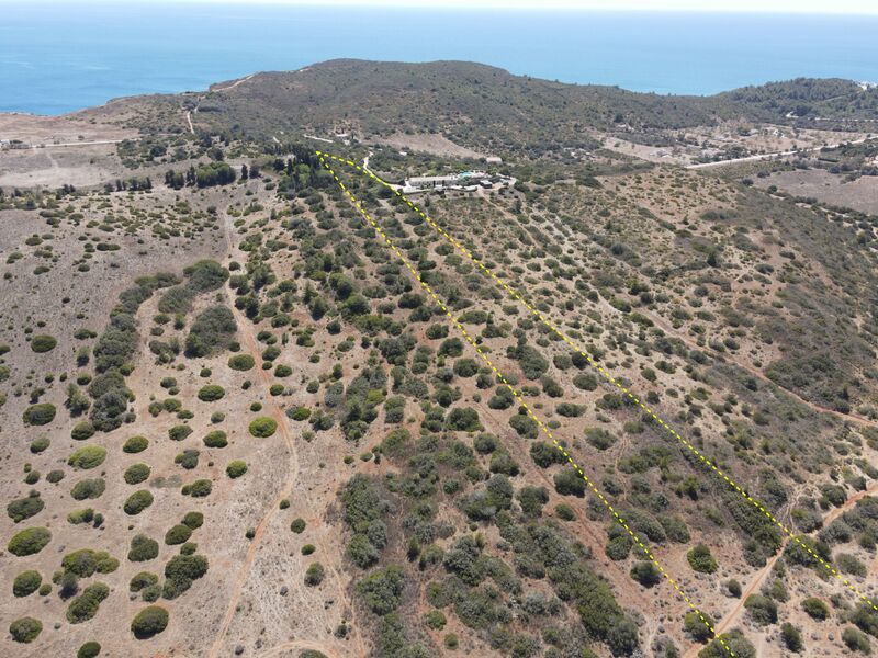 Terreno Rústico com 21520m2 Budens Vila do Bispo - poço, água