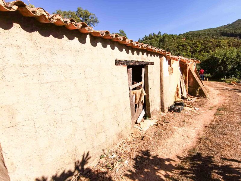 Chácara/Sítio/Fazenda V5 Monchique - sobreiros, árvores de fruto, electricidade, água, luz