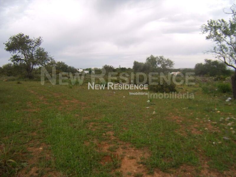 Land Agricultural with 8000sqm Albufeira Paderne - easy access, olive trees, fruit trees