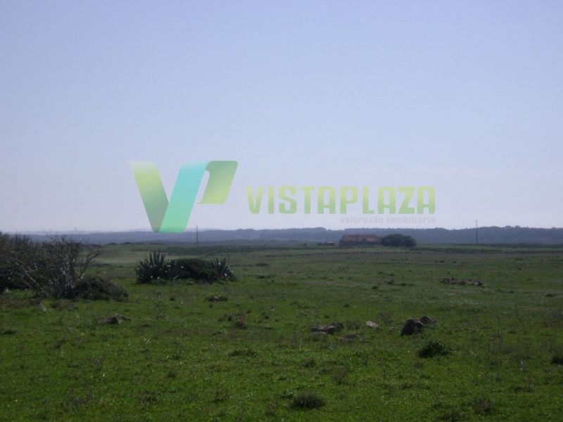 Land with 5000sqm Vale Santo Sagres Vila do Bispo - , ,