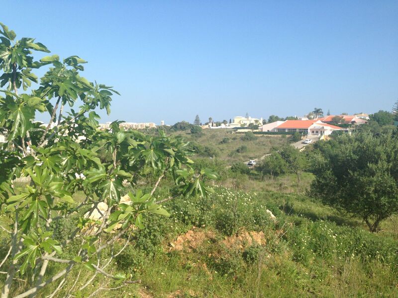 земельный участок c 2700m2 Atalaia São Gonçalo de Lagos - очень спокойная зона